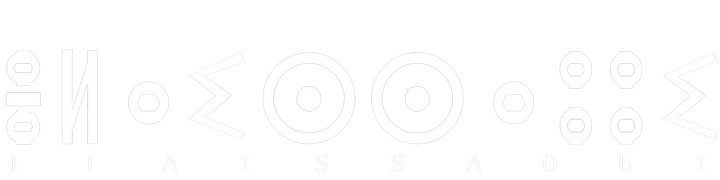 ELAISSAOUI
